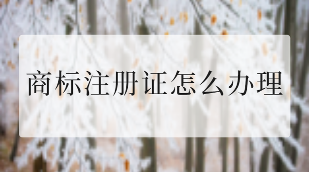 商標(biāo)注冊(cè)證怎么辦理